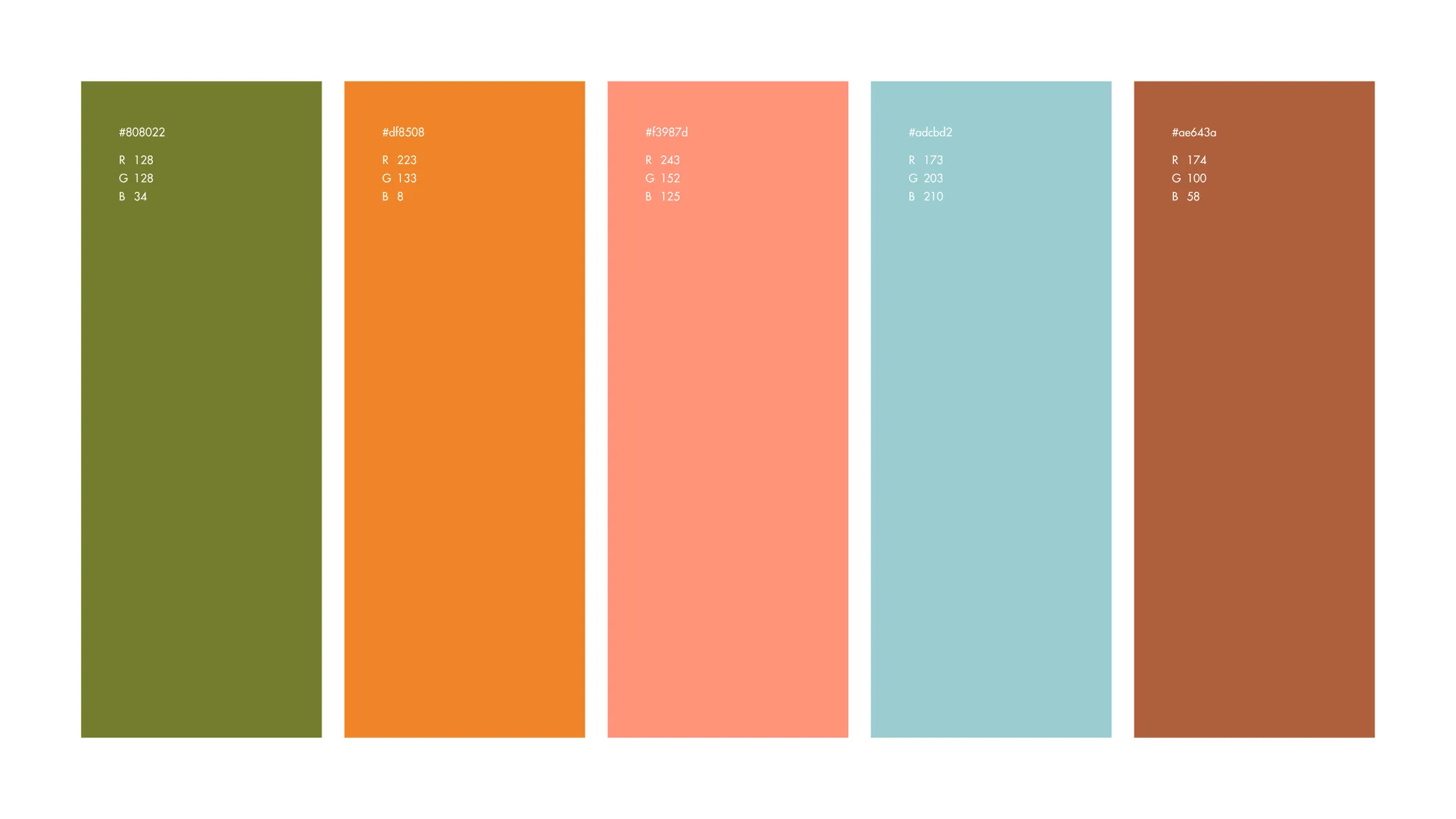 Brand palette: olive green, orange, salmon, light blue and terracotta with their values