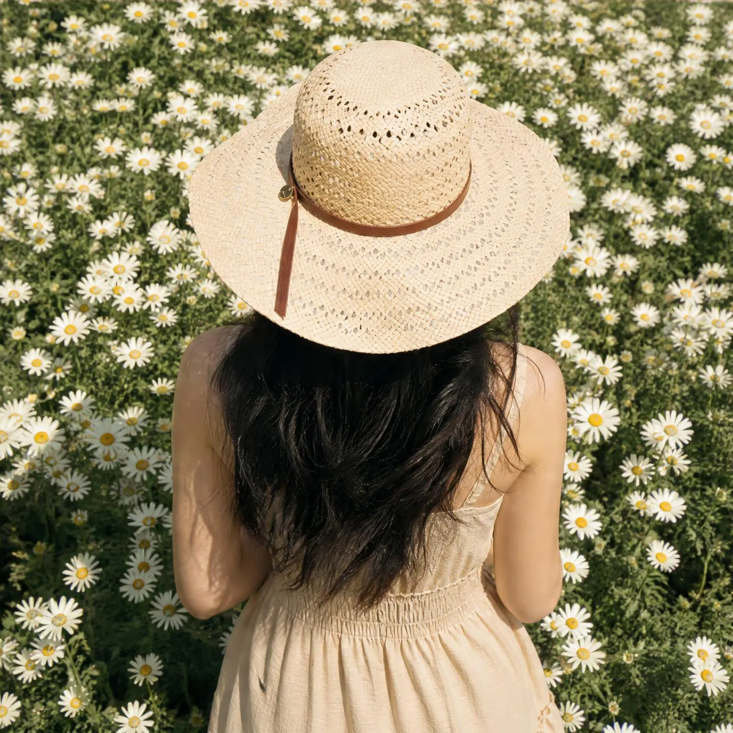 Generated image: figure seen from behind wearing a hat in a field of daisies
