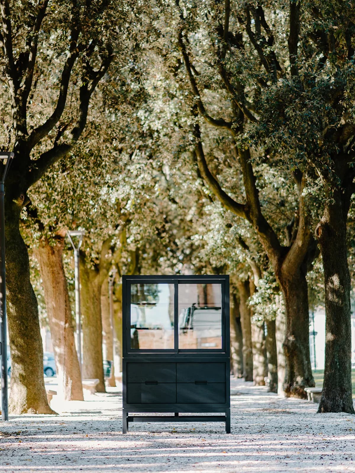 Brand display unit in a tree-lined avenue