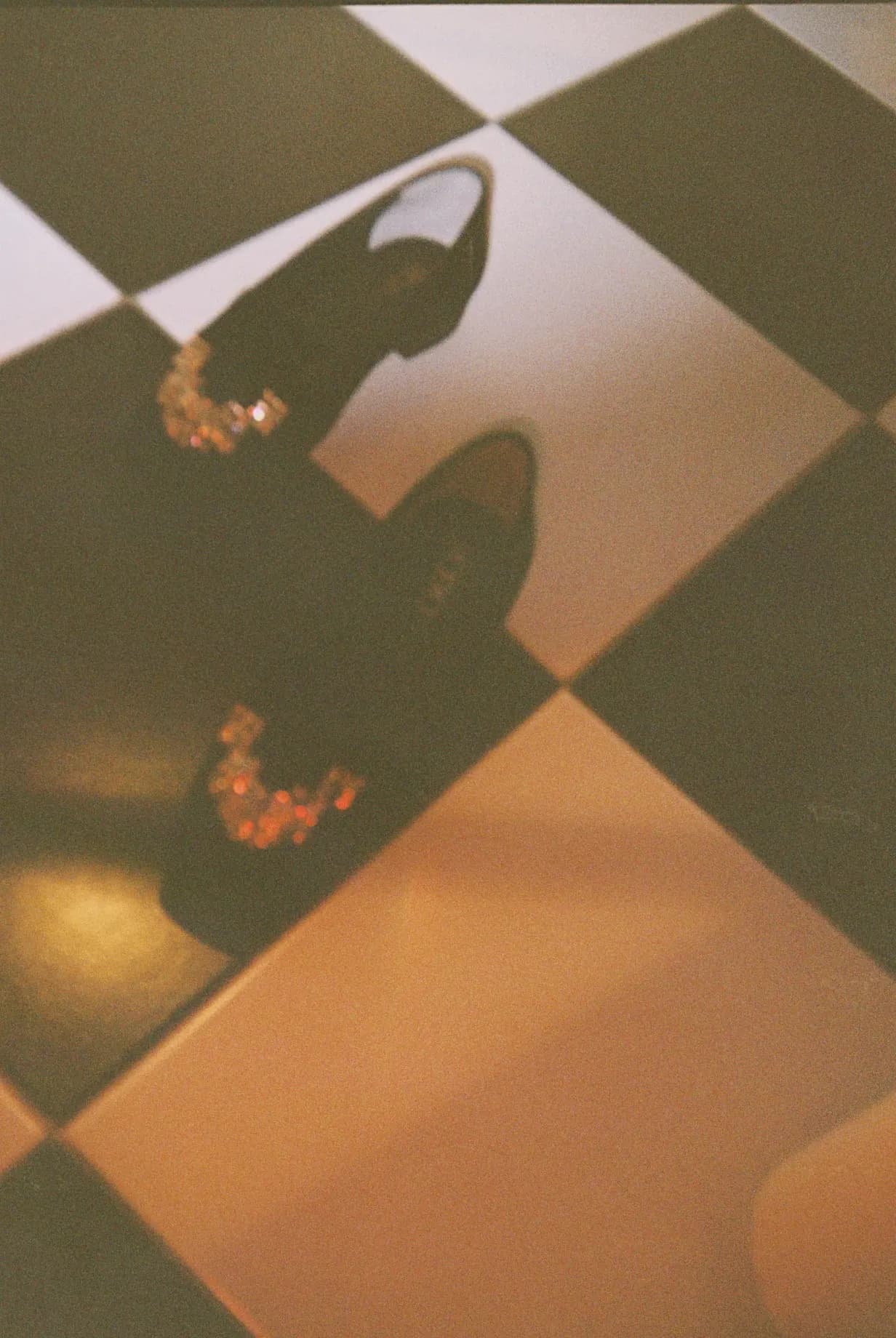 Shot on film: black mules on a chequered floor, dried flowers